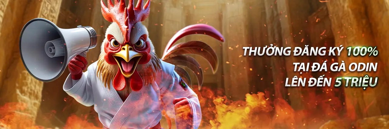 Sân vận động với ánh đèn rực rỡ và logo WIN55, tượng trưng cho cá cược thể thao đỉnh cao